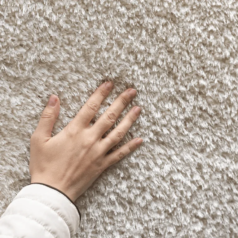 Carpet vs Hardwood Flooring: Which Is Right for Your Front Range Home?
